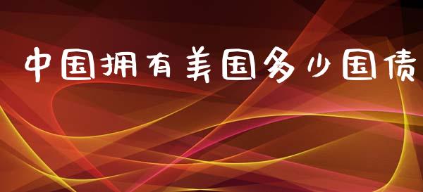 中国拥有美国多少国债_https://m.fsyjjx.cn_期货保证金计算_第1张