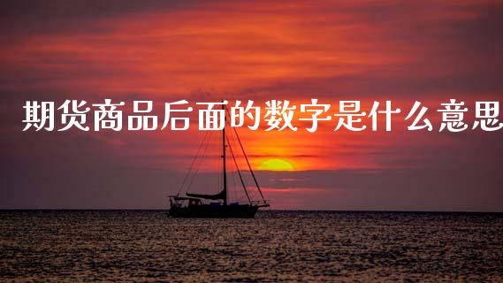 期货商品后面的数字是什么意思_https://m.fsyjjx.cn_股指期货保证金_第1张