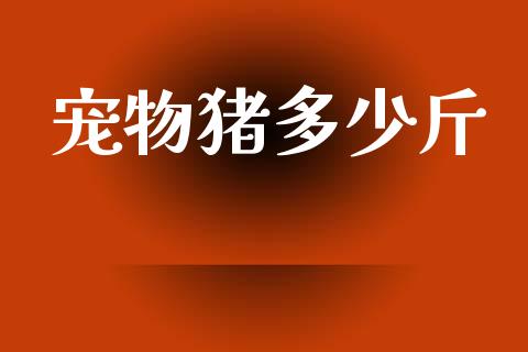 宠物猪多少斤_https://m.fsyjjx.cn_期货如何开户_第1张