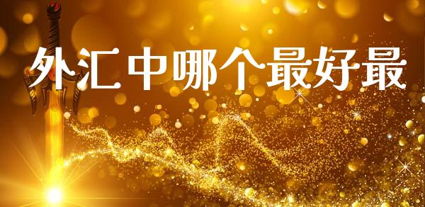 外汇中哪个最好最_https://m.fsyjjx.cn_股指期货保证金_第1张