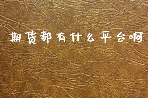 期货都有什么平台啊_https://m.fsyjjx.cn_股指期货保证金_第1张