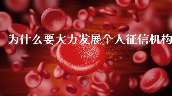 为什么要大力发展个人征信机构_https://m.fsyjjx.cn_期货保证金_第1张