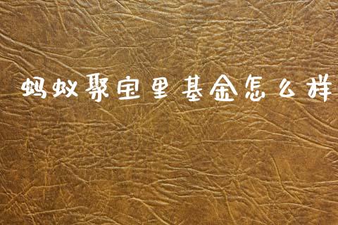 蚂蚁聚宝里基金怎么样_https://m.fsyjjx.cn_期货如何开户_第1张