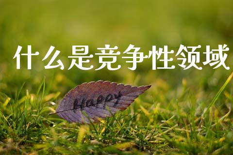 什么是竞争性领域_https://m.fsyjjx.cn_期货保证金_第1张