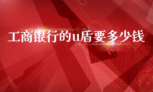 工商银行的u盾要多少钱_https://m.fsyjjx.cn_股指期货保证金_第1张