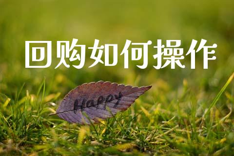 回购如何操作_https://m.fsyjjx.cn_期货如何开户_第1张