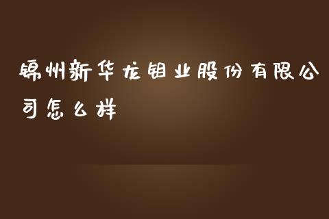 锦州新华龙钼业股份有限公司怎么样_https://m.fsyjjx.cn_期货如何开户_第1张