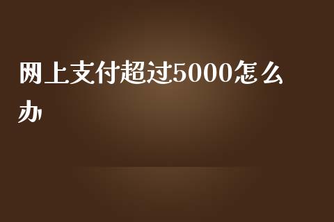 网上支付超过5000怎么办_https://m.fsyjjx.cn_期货保证金_第1张