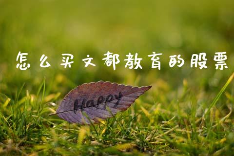 怎么买文都教育的股票_https://m.fsyjjx.cn_期货保证金_第1张