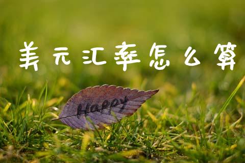 美元汇率怎么算_https://m.fsyjjx.cn_股指期货保证金_第1张