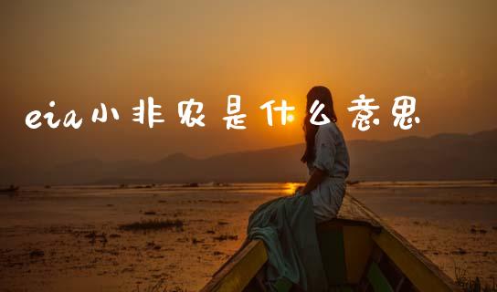 eia小非农是什么意思_https://m.fsyjjx.cn_期货保证金计算_第1张