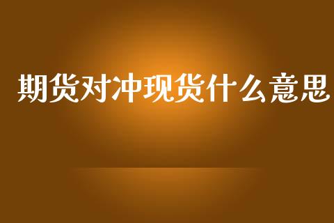 期货对冲现货什么意思_https://m.fsyjjx.cn_期货保证金计算_第1张