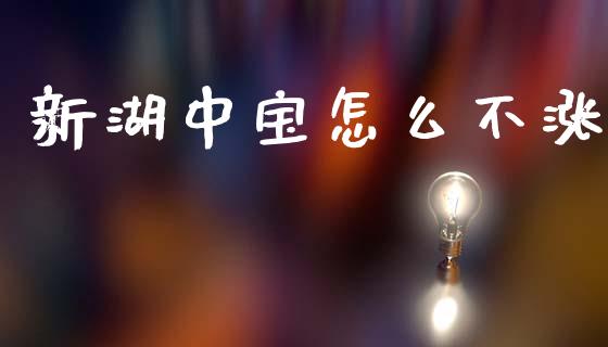 新湖中宝怎么不涨_https://m.fsyjjx.cn_期货保证金_第1张