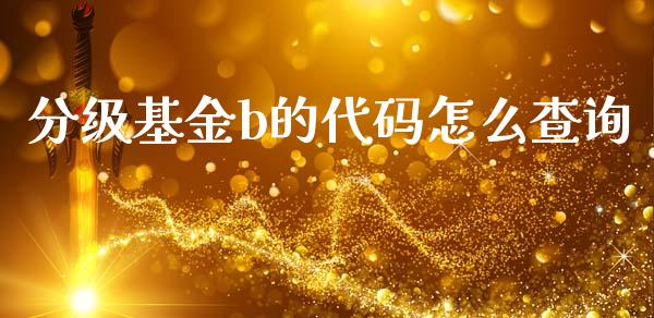 分级基金b的代码怎么查询_https://m.fsyjjx.cn_股指期货保证金_第1张
