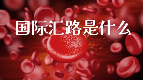 国际汇路是什么_https://m.fsyjjx.cn_期货如何开户_第1张