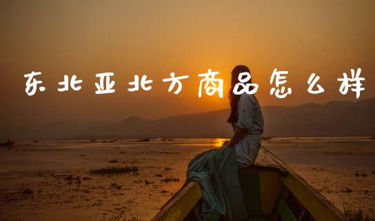 东北亚北方商品怎么样_https://m.fsyjjx.cn_期货保证金_第1张