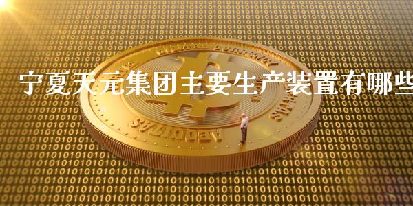 宁夏天元集团主要生产装置有哪些_https://m.fsyjjx.cn_期货如何开户_第1张