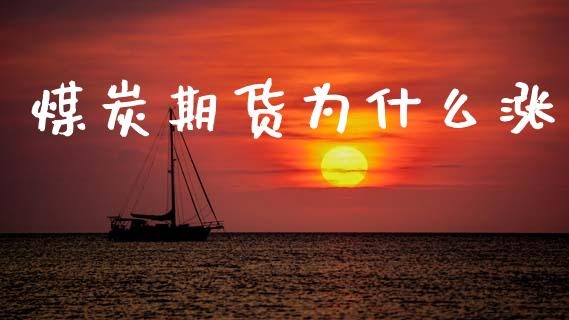 煤炭期货为什么涨_https://m.fsyjjx.cn_期货保证金_第1张
