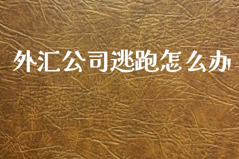 外汇公司逃跑怎么办_https://m.fsyjjx.cn_期货保证金计算_第1张