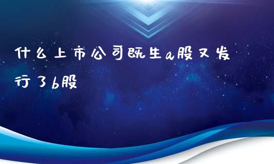 什么上市公司既生a股又发行了b股_https://m.fsyjjx.cn_期货保证金计算_第1张