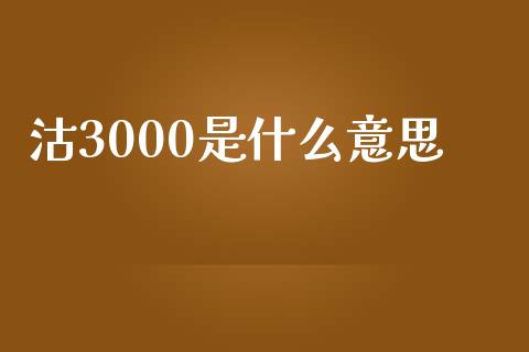 沽3000是什么意思_https://m.fsyjjx.cn_股指期货保证金_第1张