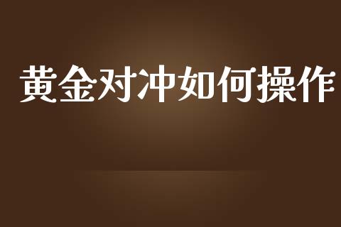 黄金对冲如何操作_https://m.fsyjjx.cn_股指期货保证金_第1张