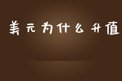 美元为什么升值_https://m.fsyjjx.cn_期货如何开户_第1张