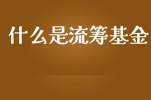 什么是流筹基金_https://m.fsyjjx.cn_股指期货保证金_第1张