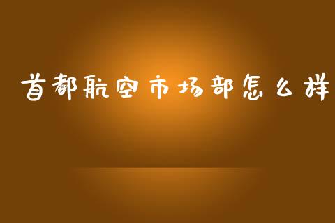 首都航空市场部怎么样_https://m.fsyjjx.cn_期货保证金计算_第1张