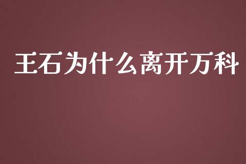 王石为什么离开万科_https://m.fsyjjx.cn_期货保证金计算_第1张