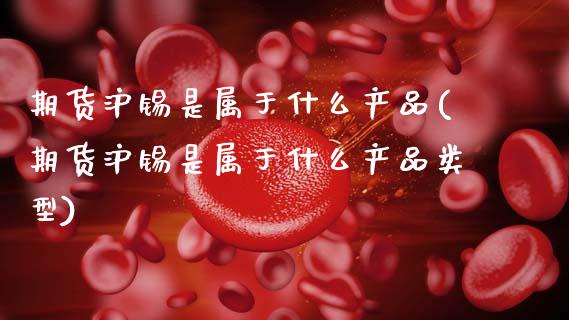 期货沪锡是属于什么产品(期货沪锡是属于什么产品类型)_https://m.fsyjjx.cn_股指期货保证金_第1张