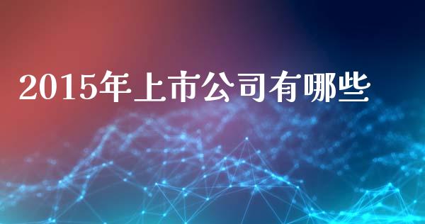 2015年上市公司有哪些_https://m.fsyjjx.cn_期货保证金_第1张