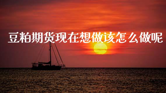 豆粕期货现在想做该怎么做呢_https://m.fsyjjx.cn_期货如何开户_第1张