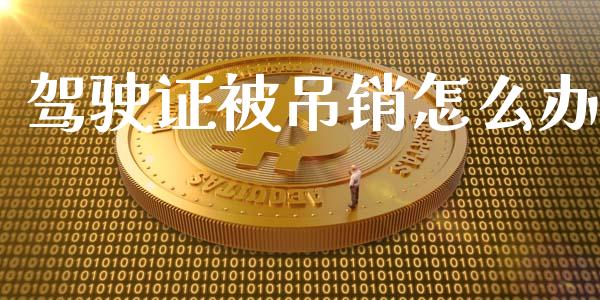 驾驶证被吊销怎么办_https://m.fsyjjx.cn_股指期货保证金_第1张