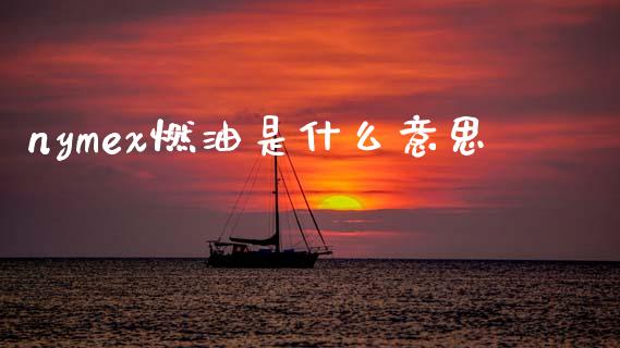 nymex燃油是什么意思_https://m.fsyjjx.cn_期货保证金计算_第1张