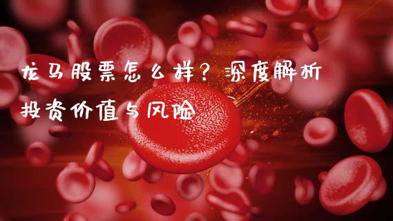 龙马股票怎么样？深度解析投资价值与风险_https://m.fsyjjx.cn_期货如何开户_第1张
