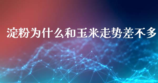 淀粉为什么和玉米走势差不多_https://m.fsyjjx.cn_期货保证金_第1张
