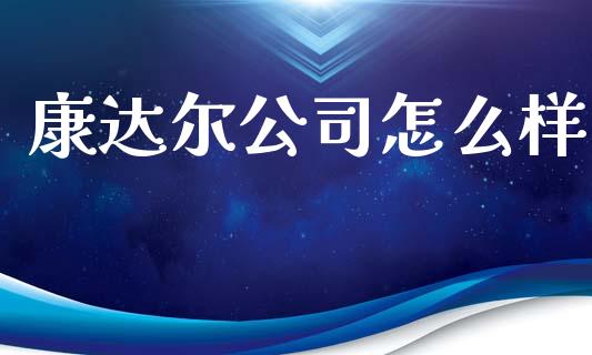 康达尔公司怎么样_https://m.fsyjjx.cn_期货保证金_第1张