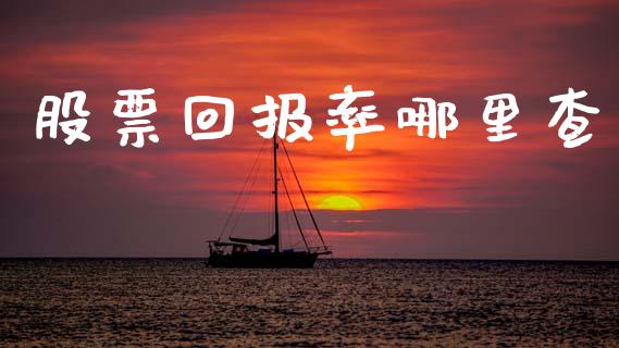 股票回报率哪里查_https://m.fsyjjx.cn_期货保证金计算_第1张