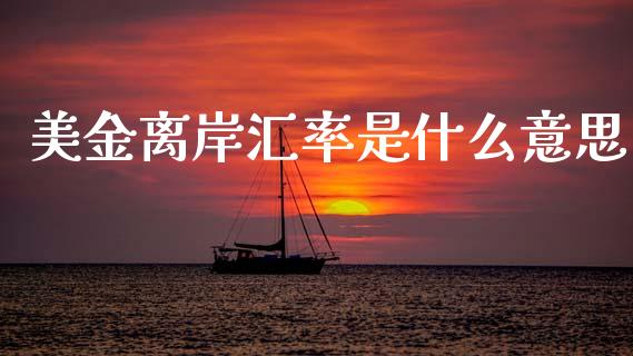 美金离岸汇率是什么意思_https://m.fsyjjx.cn_期货保证金计算_第1张