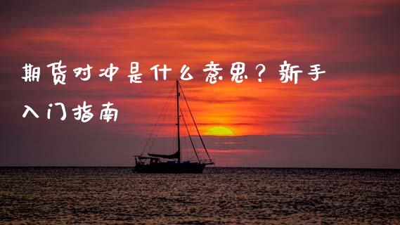 期货对冲是什么意思？新手入门指南_https://m.fsyjjx.cn_期货保证金计算_第1张
