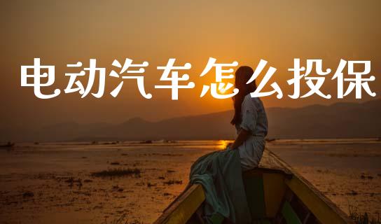 电动汽车怎么投保_https://m.fsyjjx.cn_期货如何开户_第1张