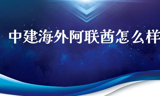 中建海外阿联酋怎么样_期货保证金计算_第1张_期货如何开户_期货保证金_期货保证金计算_股指期货保证金 中建海外阿联酋怎么样_https://m.fsyjjx.cn_期货保证金计算_第1张