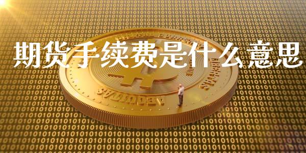 期货手续费是什么意思_https://m.fsyjjx.cn_期货保证金计算_第1张