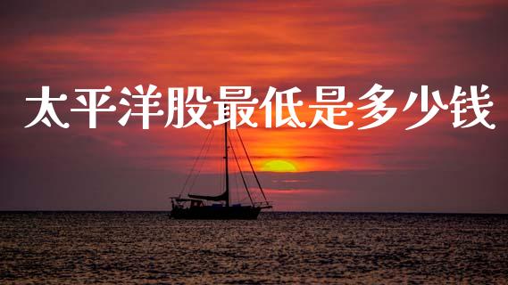 太平洋股最低是多少钱_https://m.fsyjjx.cn_期货保证金_第1张