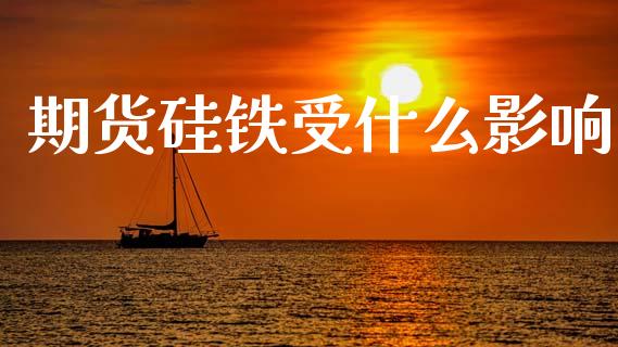 期货硅铁受什么影响_https://m.fsyjjx.cn_期货保证金_第1张