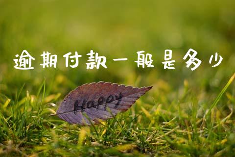 逾期付款一般是多少_https://m.fsyjjx.cn_期货如何开户_第1张