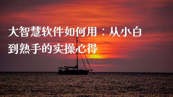 大智慧软件如何用：从小白到熟手的实操心得_https://m.fsyjjx.cn_股指期货保证金_第1张