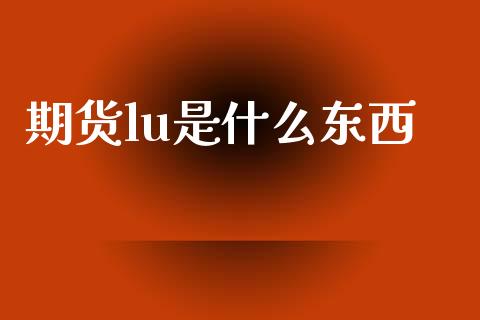 期货lu是什么东西_https://m.fsyjjx.cn_股指期货保证金_第1张