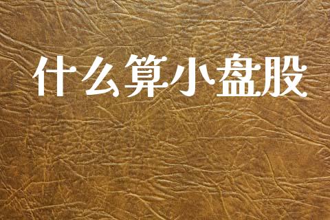什么算小盘股_https://m.fsyjjx.cn_期货保证金计算_第1张